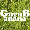 GuruBanana - Gurubanana